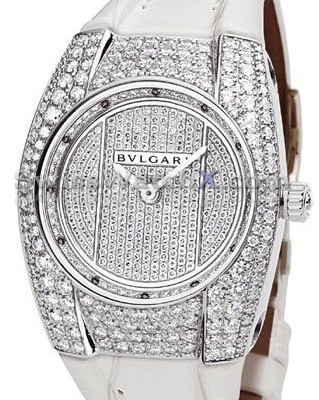 Bvlgari Ergon EGW30D2GD2WL - Click Image to Close